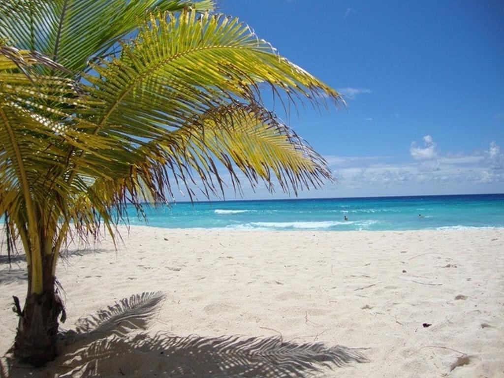 Beach Guest House Cleverdale Бриджтаун Номер фото
